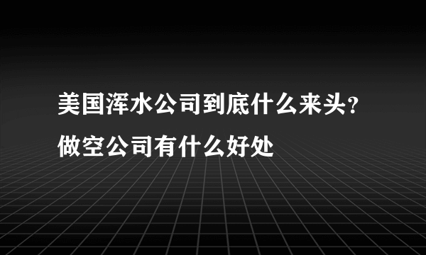 美国浑水公司到底什么来头？做空公司有什么好处