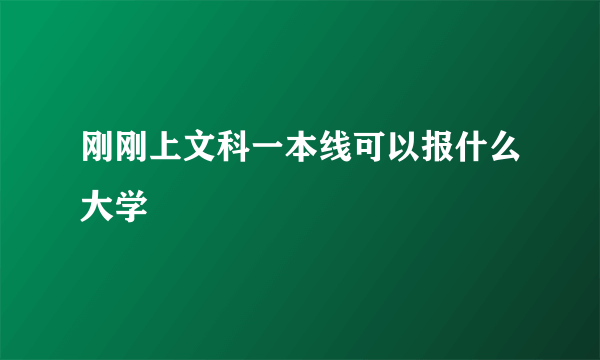 刚刚上文科一本线可以报什么大学