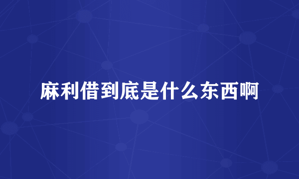 麻利借到底是什么东西啊