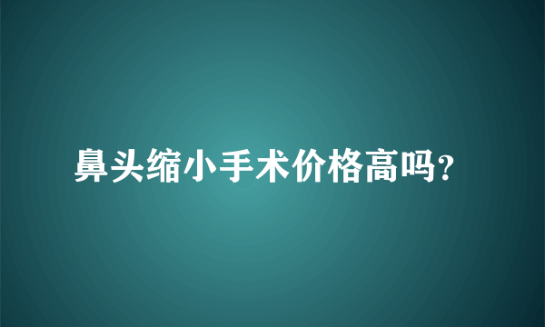 鼻头缩小手术价格高吗？