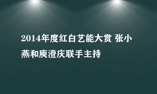 2014年度红白艺能大赏 张小燕和庾澄庆联手主持