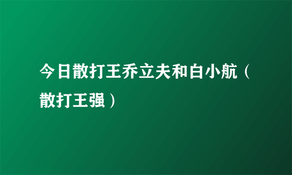 今日散打王乔立夫和白小航（散打王强）