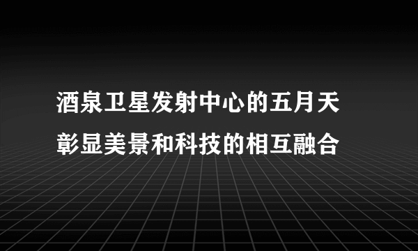 酒泉卫星发射中心的五月天 彰显美景和科技的相互融合