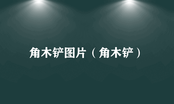 角木铲图片（角木铲）