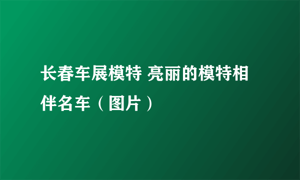 长春车展模特 亮丽的模特相伴名车（图片）
