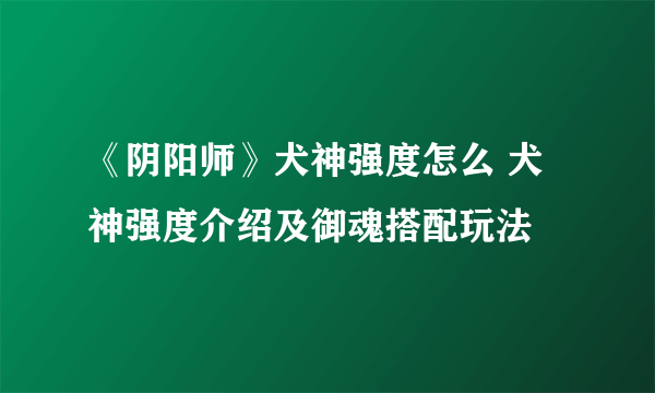 《阴阳师》犬神强度怎么 犬神强度介绍及御魂搭配玩法