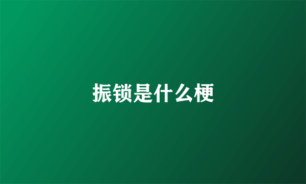 振锁是什么梗