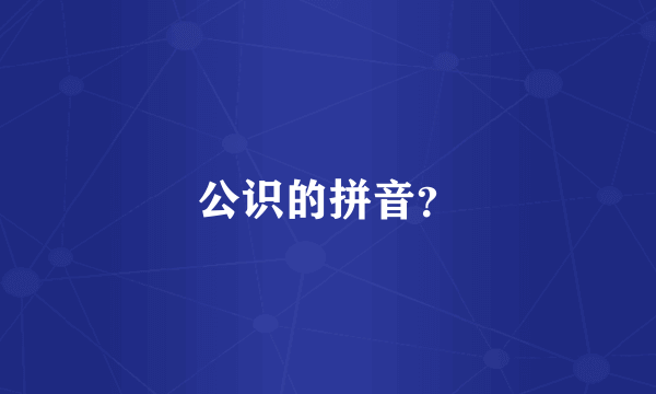公识的拼音？