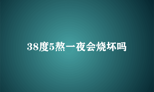 38度5熬一夜会烧坏吗