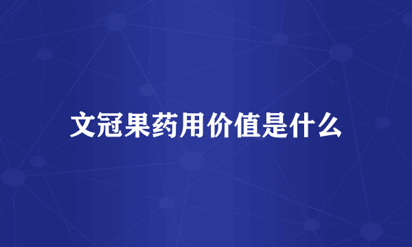 文冠果药用价值是什么