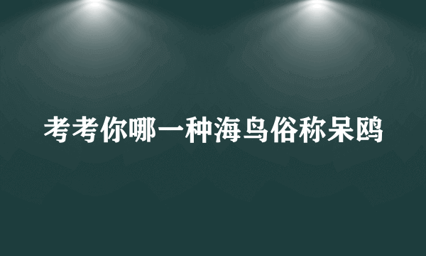 考考你哪一种海鸟俗称呆鸥