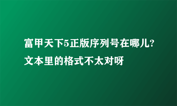 富甲天下5正版序列号在哪儿?文本里的格式不太对呀