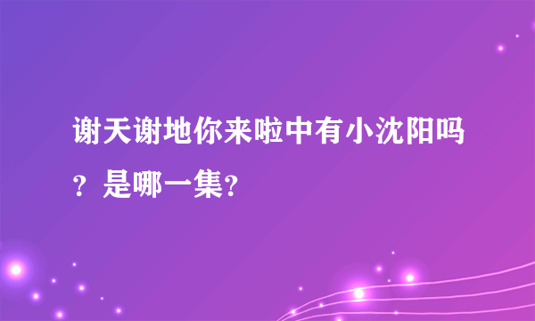 谢天谢地你来啦中有小沈阳吗？是哪一集？