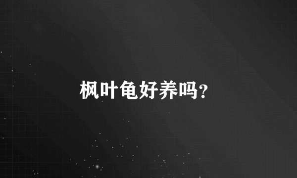 枫叶龟好养吗？