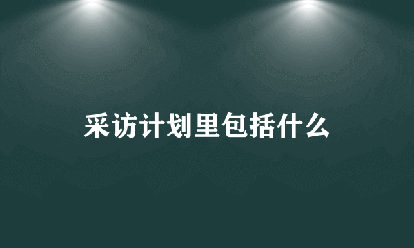 采访计划里包括什么