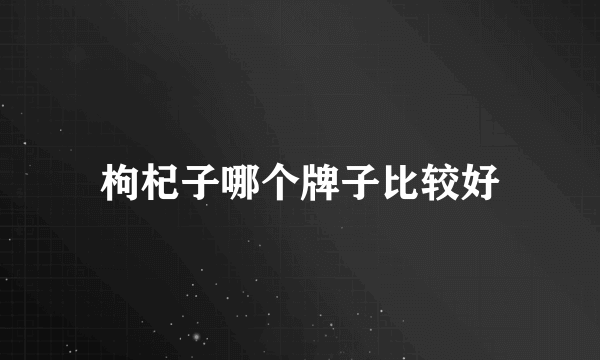 枸杞子哪个牌子比较好