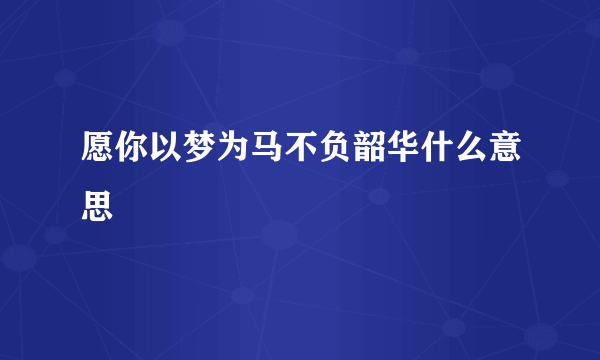 愿你以梦为马不负韶华什么意思