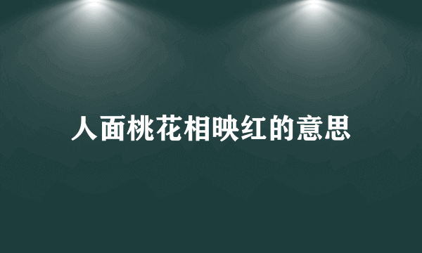 人面桃花相映红的意思
