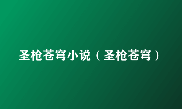 圣枪苍穹小说（圣枪苍穹）