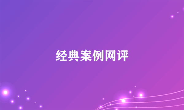 经典案例网评