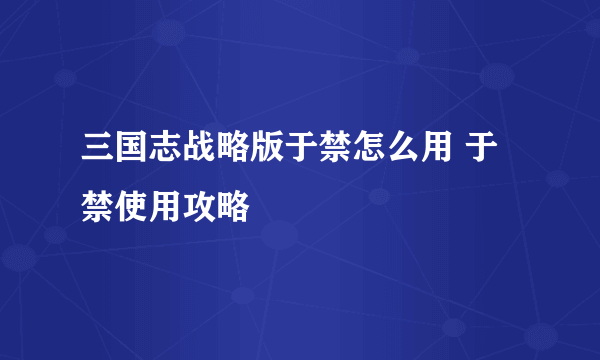 三国志战略版于禁怎么用 于禁使用攻略