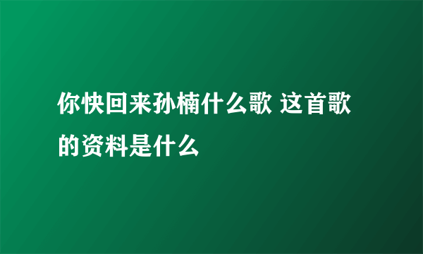 你快回来孙楠什么歌 这首歌的资料是什么