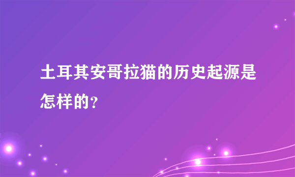 土耳其安哥拉猫的历史起源是怎样的？