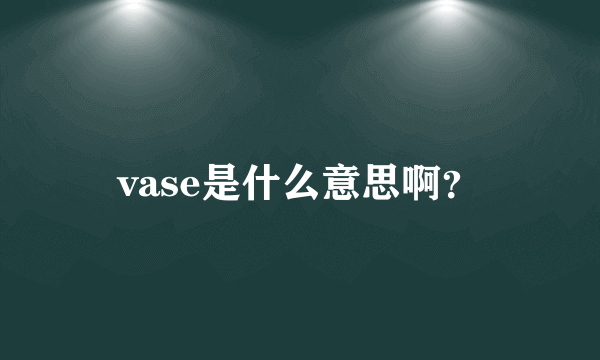 vase是什么意思啊？