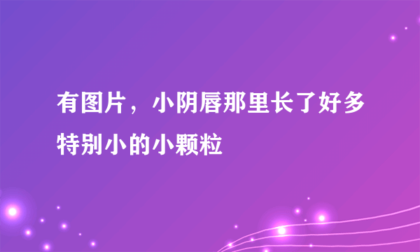 有图片，小阴唇那里长了好多特别小的小颗粒