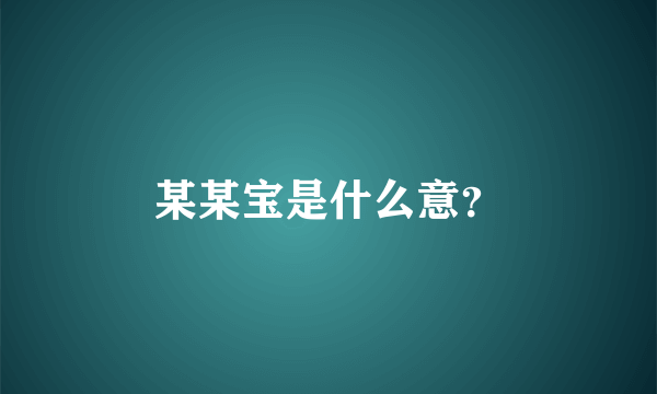 某某宝是什么意？