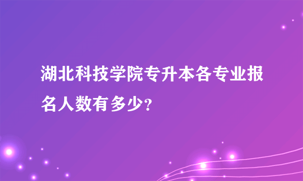 湖北科技学院专升本各专业报名人数有多少？