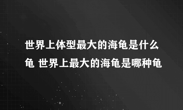 世界上体型最大的海龟是什么龟 世界上最大的海龟是哪种龟