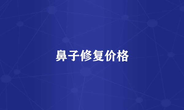 鼻子修复价格