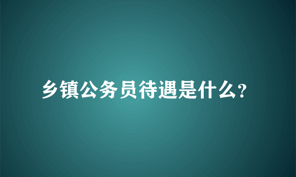 乡镇公务员待遇是什么？