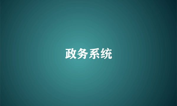 政务系统