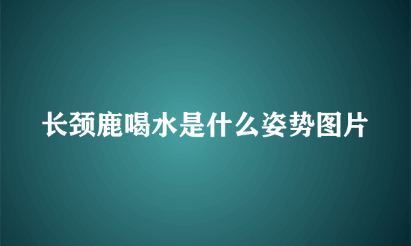 长颈鹿喝水是什么姿势图片