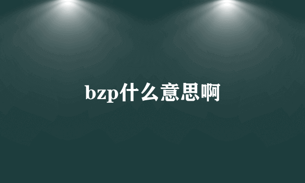bzp什么意思啊