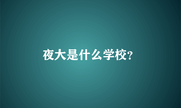 夜大是什么学校？