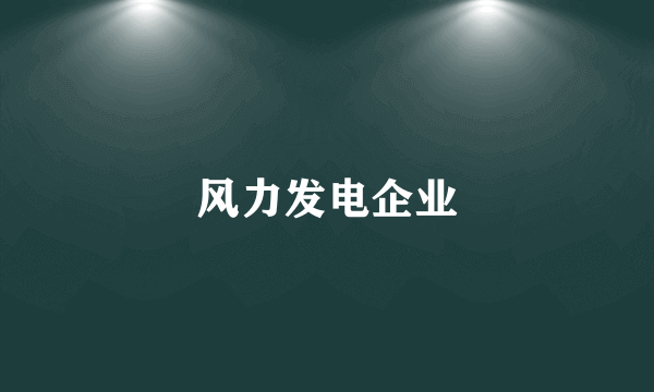 风力发电企业