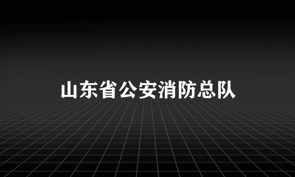 山东省公安消防总队