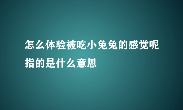 怎么体验被吃小兔兔的感觉呢指的是什么意思