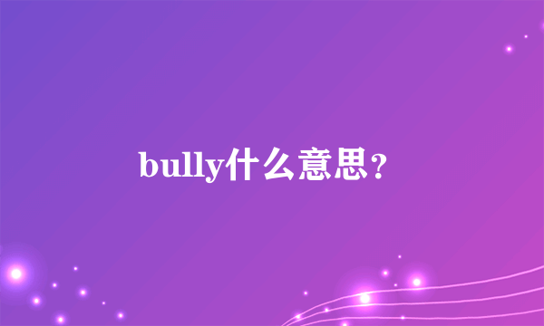 bully什么意思？