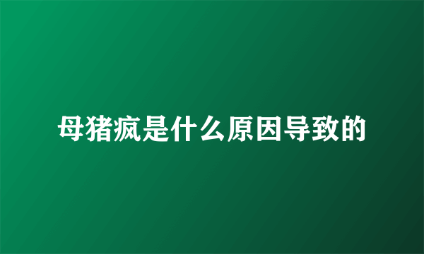 母猪疯是什么原因导致的