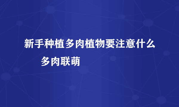 新手种植多肉植物要注意什么 – 多肉联萌