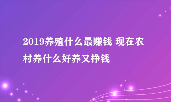 2019养殖什么最赚钱 现在农村养什么好养又挣钱