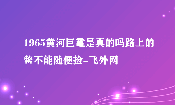 1965黄河巨鼋是真的吗路上的鳖不能随便捡-飞外网