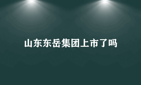 山东东岳集团上市了吗