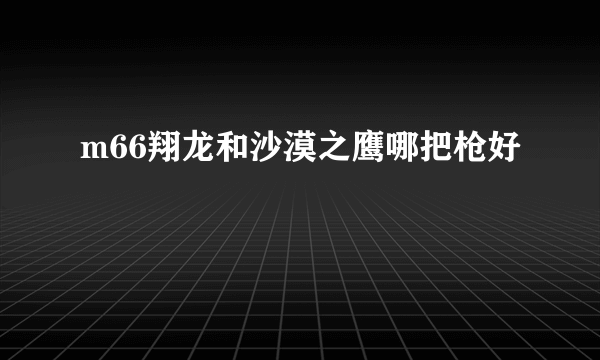 m66翔龙和沙漠之鹰哪把枪好