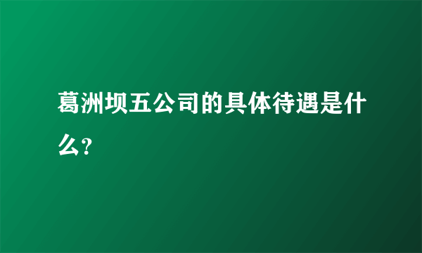 葛洲坝五公司的具体待遇是什么？