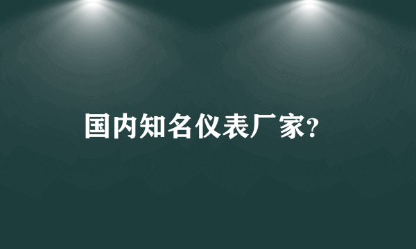 国内知名仪表厂家？